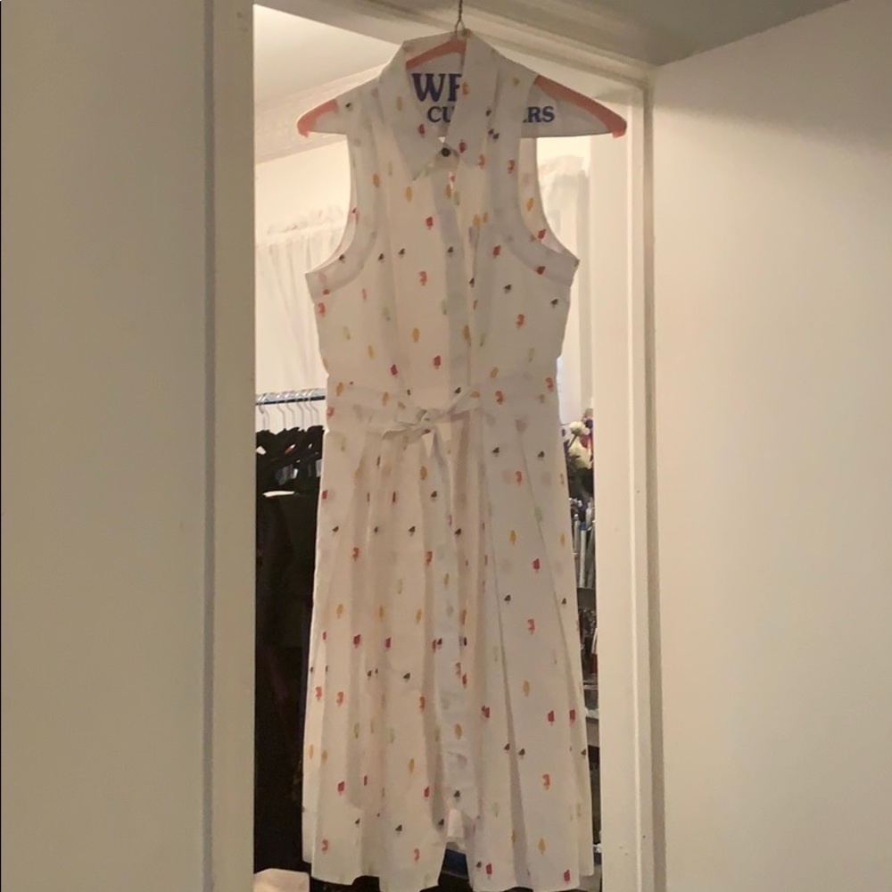 anthropologie fit and flare shirt dress. pockets !